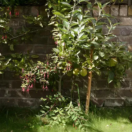 Lägenhet Beautiful 3 Bedroom In Bristol