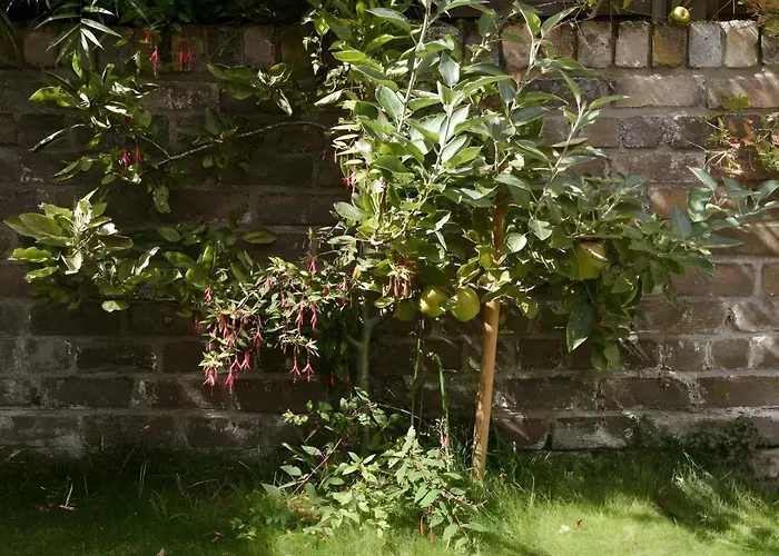 Apartmán Beautiful 3 Bedroom In Bristol